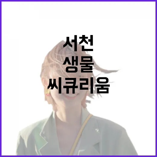 서천 씨큐리움, 바다 생물의 신비를 만나다