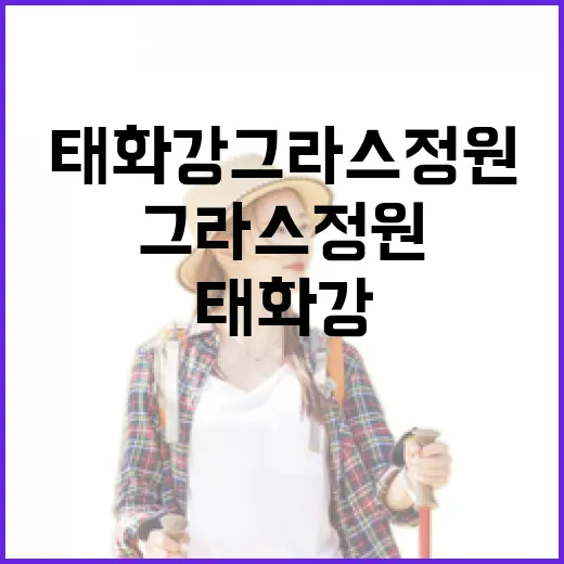 태화강 그라스 정원, 풀과 꽃의 조화로운 산책길