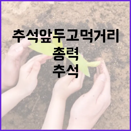 추석 앞두고 먹거리 안전 강화 총력
