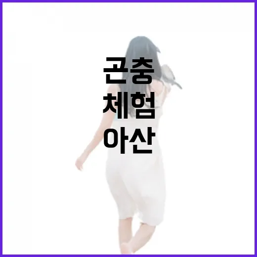 아산 곤충의날, 아이와 함께한 특별한 체험