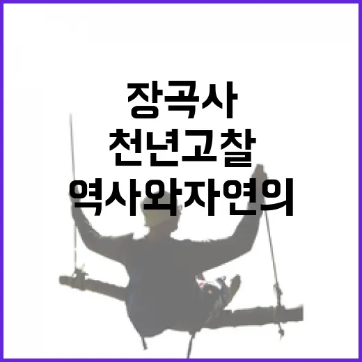 천년 고찰 장곡사, 역사와 자연의 만남
