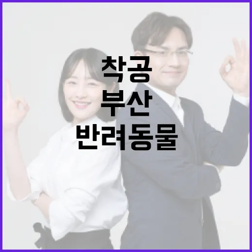 부산 동물병원 착공, 반려동물 복지 새 장 연다