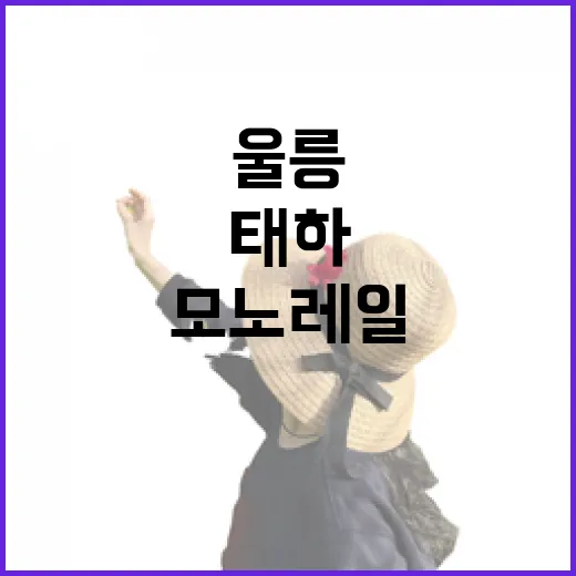 울릉 태하향목모노레일 절경 체험기