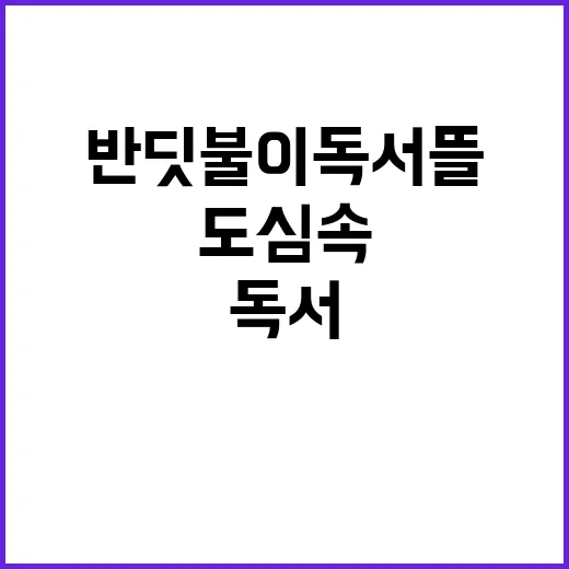 가을밤 반딧불이 독…