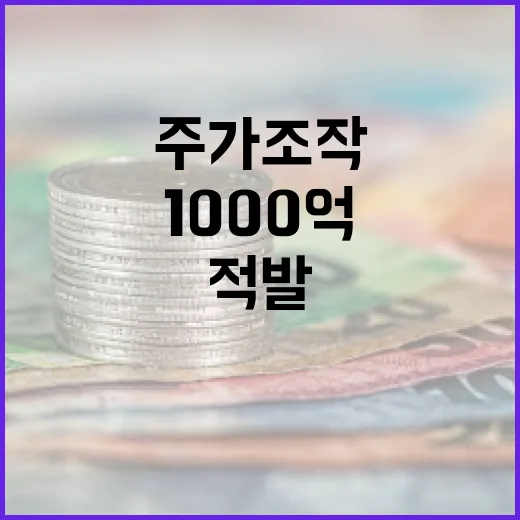 새 정부 첫 1000억 주가조작 적발