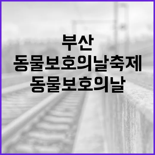 부산서 첫 동물보호의 날 축제 성황