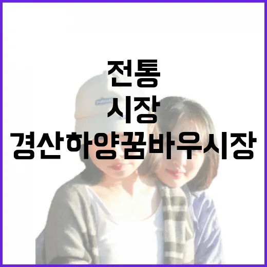 경산 하양꿈바우시장, 전통과 현대가 어우러진 명소