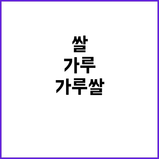콩·가루쌀 생산 감…