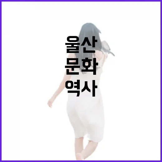 울산박물관, 역사와 문화의 보고