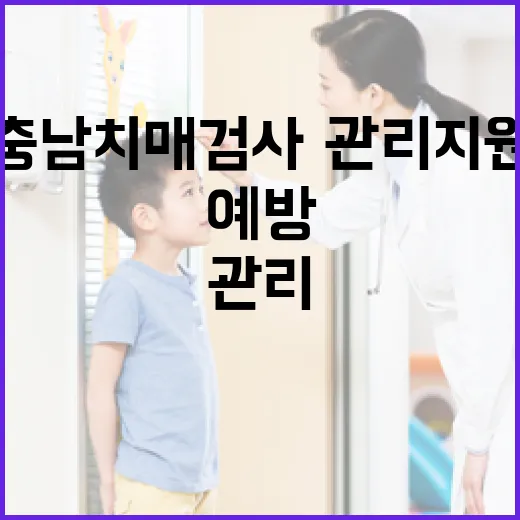 충남 치매 검사·관리 지원, 예방과 꾸준한 관리 중요