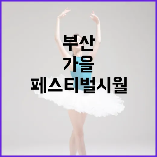 부산 페스티벌 시월, 체험과 활동으로 가득한 가을 축제