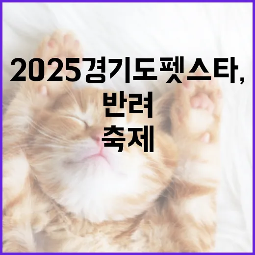 2025 경기도 펫스타, 반려동물과 특별한 축제