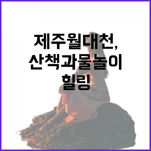 제주 월대천, 도심 속 힐링 산책과 물놀이 명소