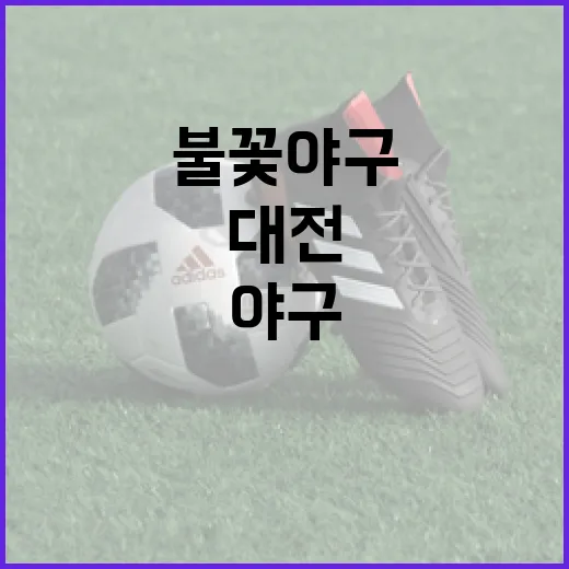 불꽃야구 대전 첫 홈경기 열기 가득