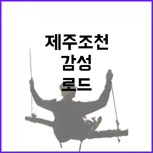 제주 조천 할망로드 감성 여행기