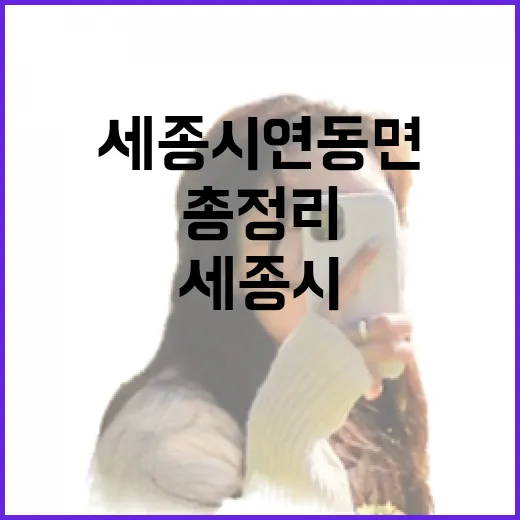 세종시 연동면 문화예술 여행지 총정리