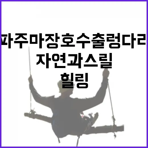 파주 마장호수 출렁다리, 자연과 스릴의 힐링 명소