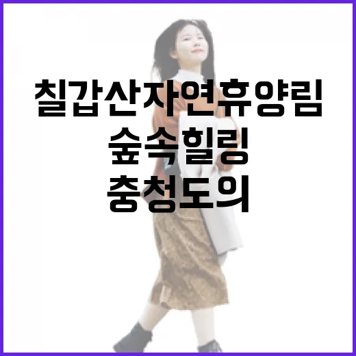 칠갑산 자연휴양림, 충청도의 숲속 힐링 명소