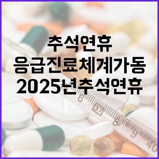 2025년 추석 연휴 제주 응급진료 체계 가동