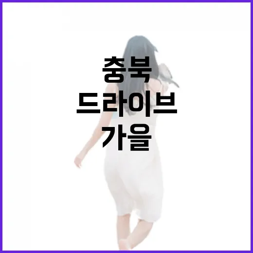 충북 가을 드라이브 명소 4선