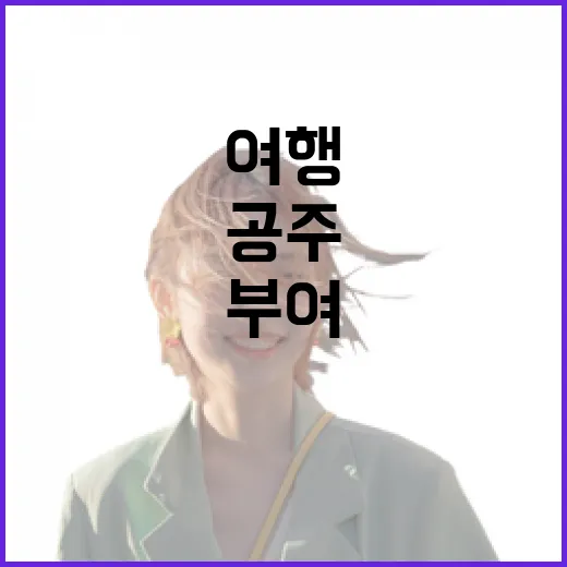 백제문화제와 함께하는 공주·부여 역사 여행