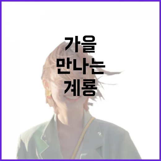 계룡에서 만나는 가을 축제와 힐링 산책