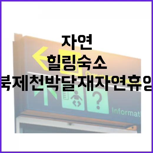 충북 제천 박달재자연휴양림 힐링 숙소