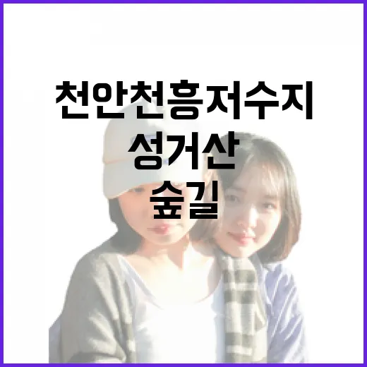 천안 천흥저수지와 성거산 숲길 산책기