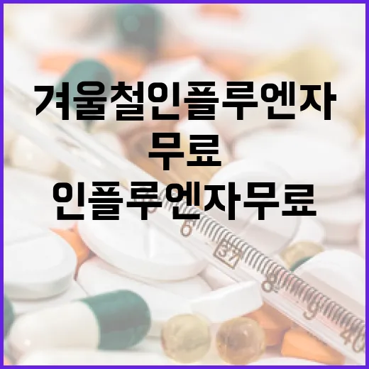 겨울철 인플루엔자 무료접종 시작