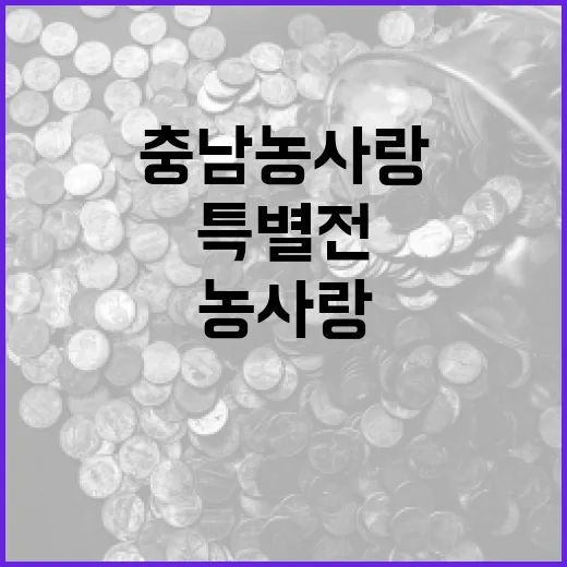 충남 농사랑, 추석맞이 특별전으로 풍성한 한가위 선사