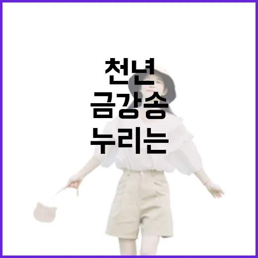 울진 금강송 에코리움, 천년 숲에서 누리는 힐링