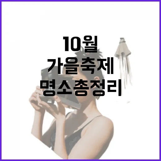 충북 10월 가을축제 명소 총정리