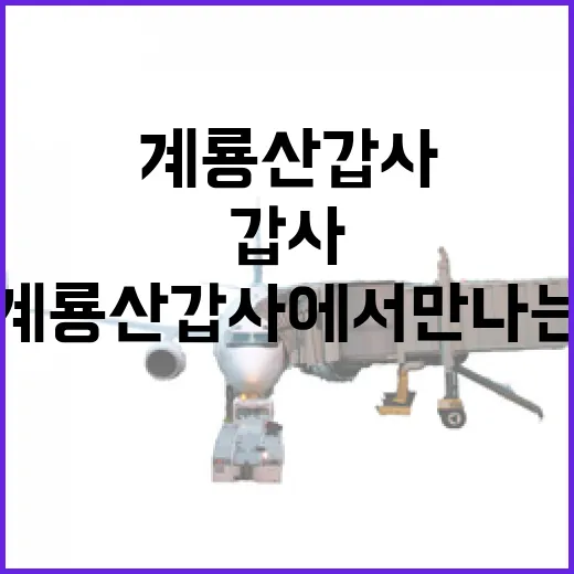 계룡산 갑사에서 만나는 자연과 불교의 조화