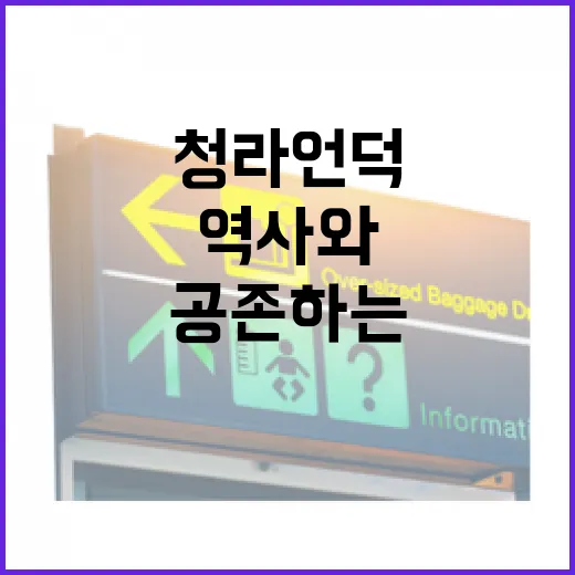 역사와 평화가 공존하는 청라언덕 산책