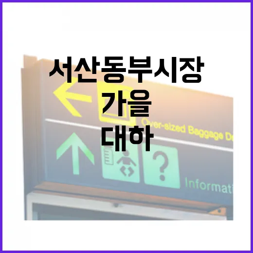 서산 동부시장 가을 대하 축제 현장