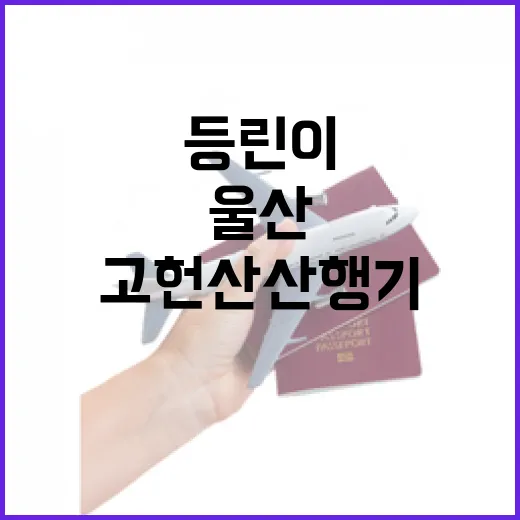 등린이도 쉽게 오르는 울산 고헌산 산행기