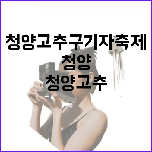 청양 고추구기자축제, 맛과 즐거움 가득한 현장