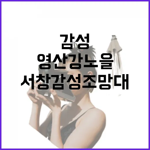 영산강 노을 명소 서창감성조망대 개장