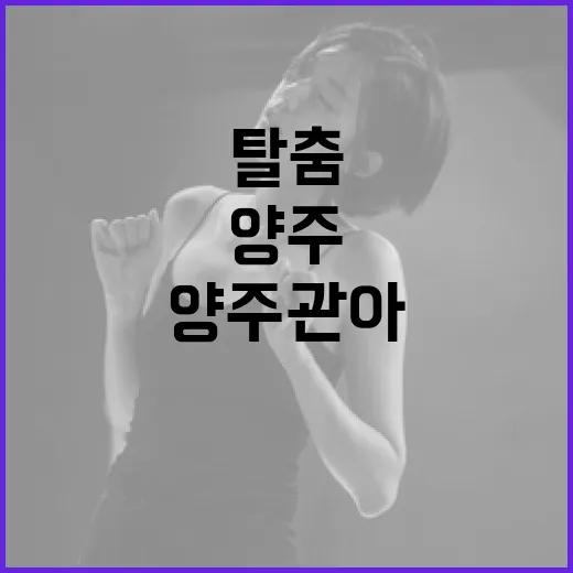 양주관아지서 펼쳐진 해학 가득 탈춤 공연
