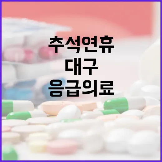 대구 추석 연휴 응급의료 완벽 안내