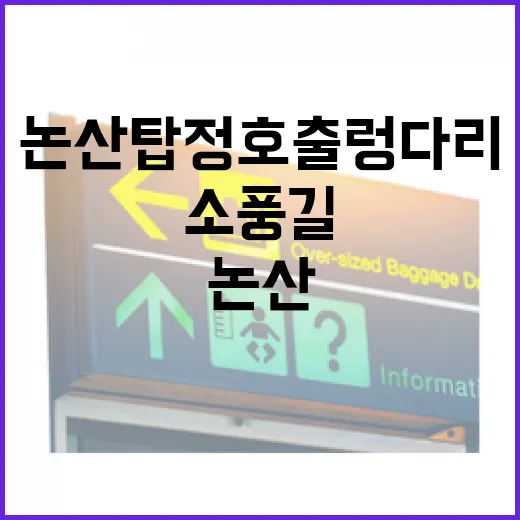 논산 탑정호 출렁다리와 소풍길 힐링 트래킹