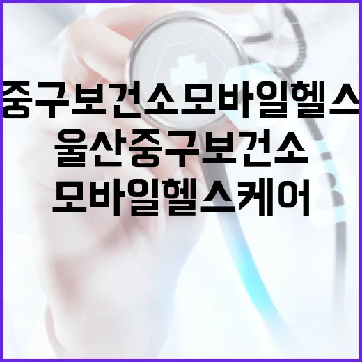 울산 중구보건소 모바일 헬스케어 체험기