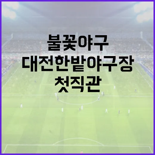 대전한밭야구장, 불꽃야구 첫 직관 현장