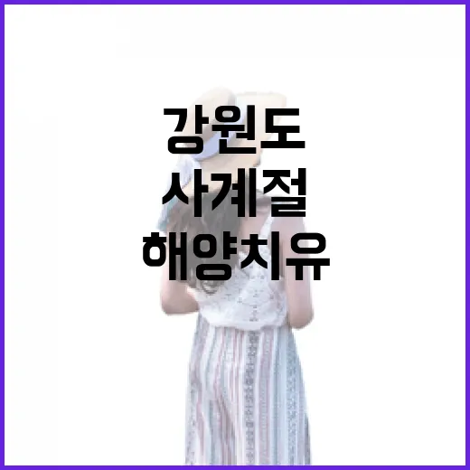강원도 해양치유와 요트 체험, 사계절 힐링 명소로