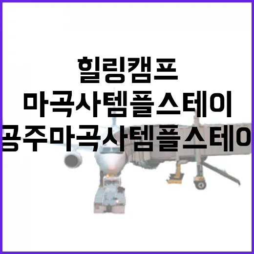 공주 마곡사 템플스테이 힐링캠프 체험기