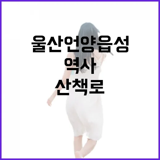 울산 언양읍성 역사 산책로 완벽 가이드