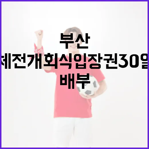 부산 전국체전 개회식 입장권 30일부터 배부