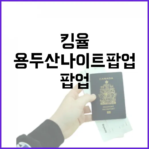 킹율과 함께하는 용…