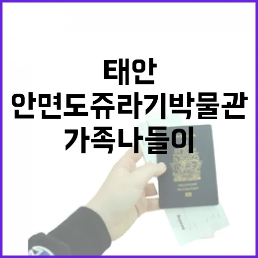 태안 안면도 쥬라기박물관 가을 가족 나들이