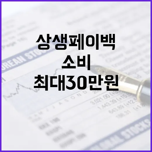 최대 30만원 상생페이백, 알뜰 소비의 기회